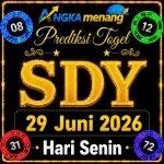 Prediksi Togel SDY 29